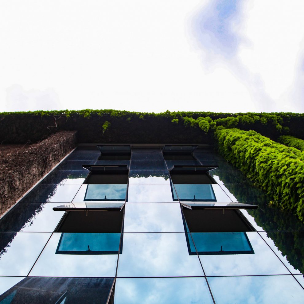 Yıldız Teknik Üniversitesi - CFGS