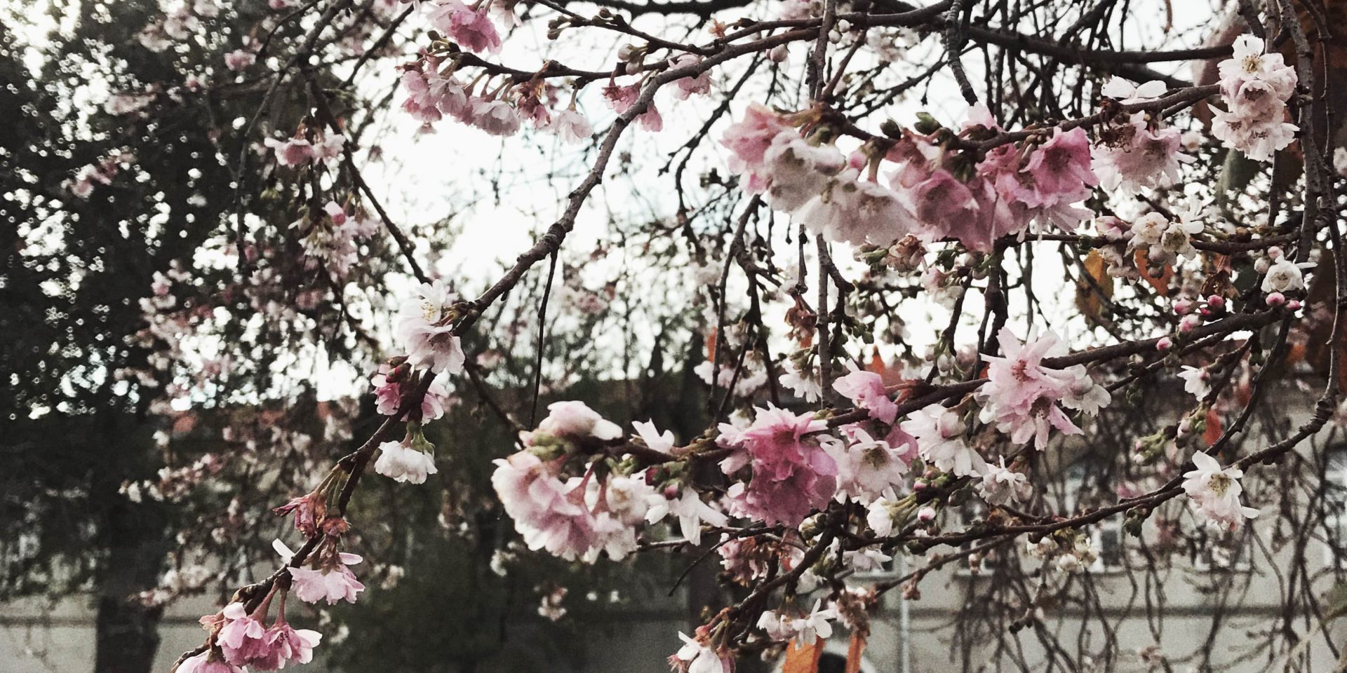 Yıldız Teknik Üniversitesi Davutpaşa Kampüsü